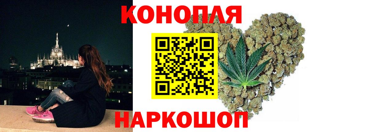 Бошки Шишки Тверь
